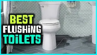 Best Flushing Toilets Buying Guide - Top 5 Review [2022]