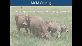 2021 Iowa CRP Mid-Contract Management Workshop