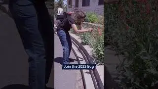 2025 Bug and Flower Hunt #butterfly #pollinatorfriendly #gardening