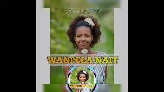 WANPELA NAIT_ Hansdeebladez || NixKera || RootsDee_RBS music 2026🎧🇵🇬🇵🇬⚡