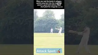 First ball and amazing pull shot for a huge Six #breakfastinspiration#cricketlover#secretofhappylife