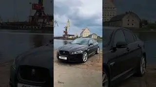 Элегантный и очень характерный Jaguar XF Автопрокат PAVLOV Калининград