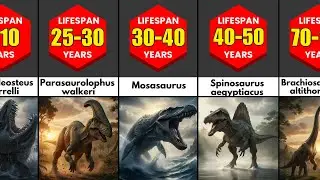 &ldquo;Top 50 Extinct Animals Ranked by Lifespan | Timeline Comparison&rdquo; 🦖🦣🐦