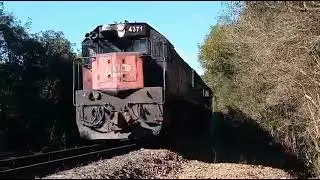 Trem passando por uma ponte de ferro/ Train passing for an iron bridge