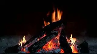 Suara Api Kayu Bakar untuk Terapi Pengantar Tidur dan Insomnia