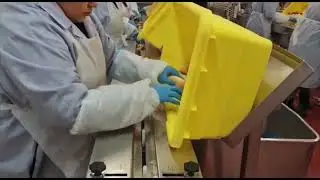 Redpack HC65 Fully Wash-Down Flow Wrapper Operating at 240 PPM | www.ProPac.com