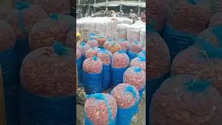 fresh pepper market price #market #priceofpepper #lagosmarket #priceupdate