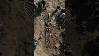 Gigantic Bird Skeleton Found With Teeth and Fingers