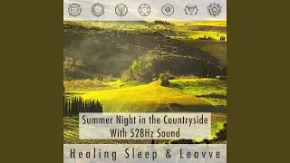 Feel the Miracle of Life - 528hz