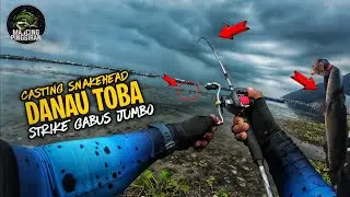 CASTING GABUS DANAU TOBA SAAT AIR SURUT MALAH BANJIR SAMBARAN & LEDAKAN !!
