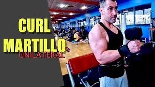 CURL MARTILLO UNILATERAL - B&Iacute;CDPS - SPORT TRAINING NORTE - Fitness natural