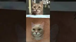 How We Hand-Carve Your Pet&rsquo;s Portrait | Leather Art Process Step by Step   #cat #pets #petlove #cute