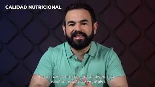 Amaranto: un superalimento con beneficios y valor nutricional | IOR | Tecnológico de Monterrey