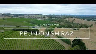 Reunion Shiraz