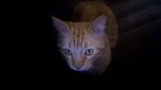 MARIFER CUENTA 6 HISTORIAS DE TERROR #16