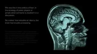The Awakening  - Quantum Mechanics of the Human Brain and Consciousness
