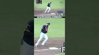 🐯 Tigres se lanzan al atacan y la sacan ⚾️ del estadio 🏟️ #LaProfesional #deportes