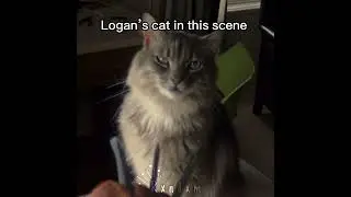 AUGH DONT POINT THAT GUN IN MY FACE #wolverine #logan #lgbt #fypシ゚viral @sequ1nz