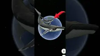 blue whale on google maps and google earth #shorts#maps#earth