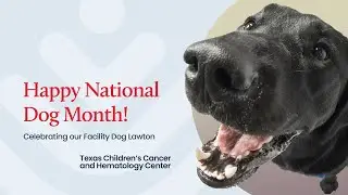Happy National Dog Month! Meet Lawton, a Facility Dog at Texas Children&rsquo;s Cancer & Hematology Center