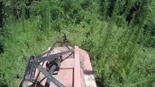 Rough Cut Bush Hogging with a Kubota!