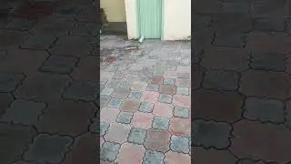 Tuff tile design ll new tuff tile design idea. #tufftiles #columndesign #youtubeshorts