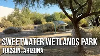 Exploring Sweetwater Wetlands Park in Tucson, Arizona