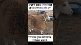 Amazing Desi Jugaad 😲 Cheapest and smartest way to protect from cold | Viral Desi Jugaad