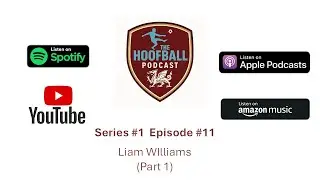 S:1 Ep:11 Liam Williams: Part 1 (That arrogant B&%tard Referee....)