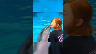 Friendship goals with this adorable dolphin! 🐬 We have a special bond.#ytshorts#whale#dolphin #love