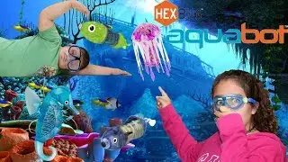 AquaBots: The New Robotic Pet Toy that Really Swims. Unboxing And Testing