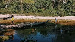 Forest Vlog  || Belacoba Jungle View || 25 Km From India