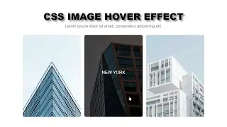 Image Hover Overlay Slide From Bottom to Top With HTML and CSS | Free Source Code...