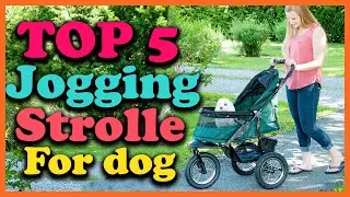 ✅Top 5 Best Dog Jogging Stroller 2025