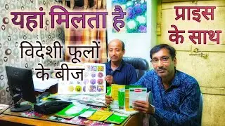 यहां मिलता है विदेशी फूलों के बीज // प्राइस भी जानिए । October flower Seeds Shopping