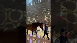 Vente aux ench&egrave;res Your Auction 🐴