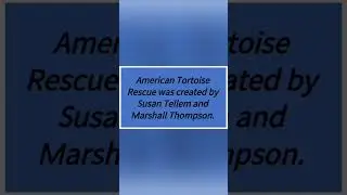 About World Turtle 🐢Day(23 May)/Few lines on World Turtle Day#Short Video#Shorts