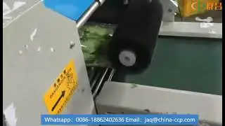 Lettuce vegetable pillow packaging machine