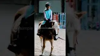 konie są cudne 🩵 #horse #horseriding #horses #jazdakonna #stadnina #konie #horsepower #stajnia