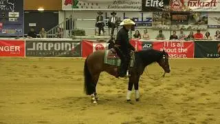 GUNNERS CHIC MAGNET & Markus Morawitz --- Open Maturity NRHA --- Wels 2019