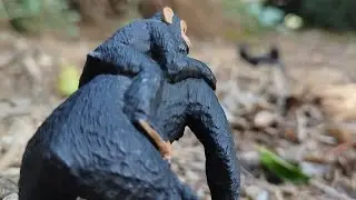 Life Of The Chimpanzee 3: Never Steal Other Primate's Food