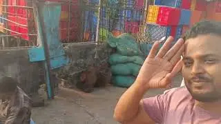 Panjim fish market #panjim #goa #sauravjoshivlogs #diwali #khandeshi#jalgaon  