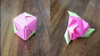 How To Make an Origami Magic Rose Cube || Starz Paper