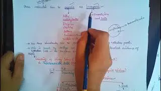 biomolecules,, cellular pool