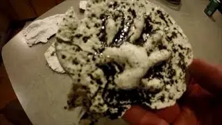 How to make animal tracks molds with plaster of paris.
