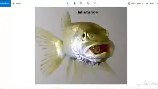 Java || Inheritance | Multi-Level inheritance