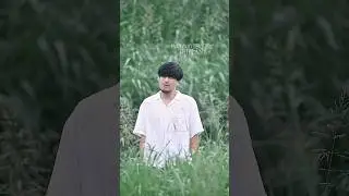 #TRIPLANE#歌詞動画