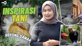 INSPIRASI TANI - REPONG DAMAR mp4