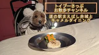 道の駅まえばし赤城イルミネーションと、伊勢崎市のキャメルダイニングでディナー
