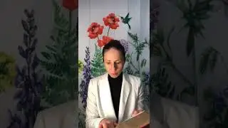 HOLY BIBLE NKJV - Numbers: Chapter 34 to 36 | Video and Audio Reading |